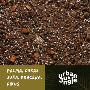 Podłoże do palm, juk, dracen, fikusa i cykasa Urban Jungle dedykowane do fikusa bonsai