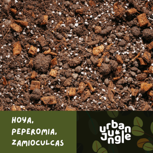 Podłoże Urban Jungle do hoi, peperomii i zamiokulkasa dedykowane aloesowi zwyczajnemu