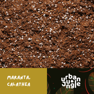 Podłoże do maranty i calathei Urban Jungle dedykowane do kalatei falistolistnej