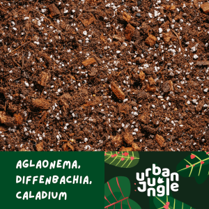 Podłoże Urban Jungle dedykowane do aglaonemy