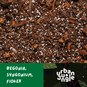 Podłoże specjalistyczne Urban Jungle do begonii dedykowane begonii królewskiej
