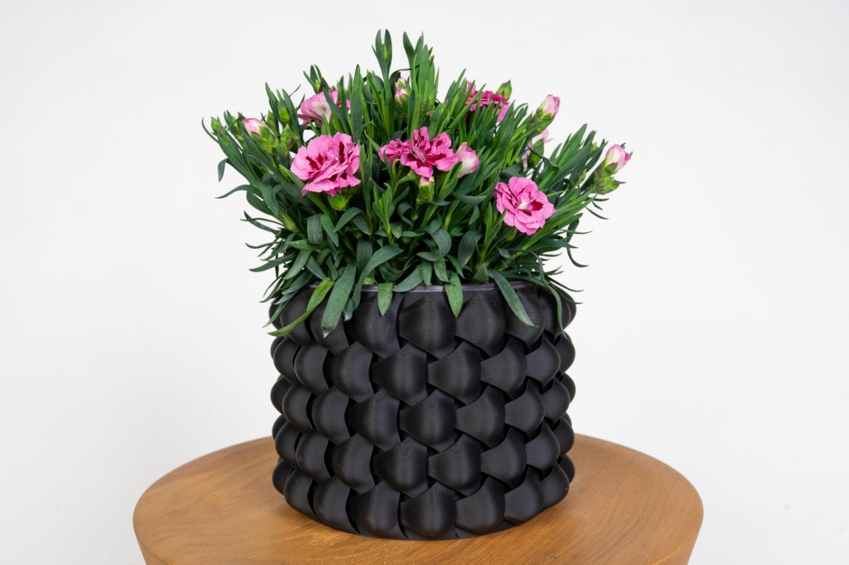 gozdzik-wieloletni-dianthus-kwitnaca-roslina-do-ogrodu-slonecznego.jpg