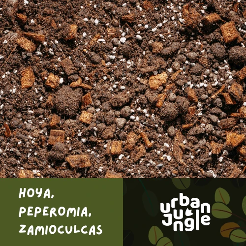 PODŁOŻE SPECJALISTYCZNE do hoi, peperomii i zamiokulkasa Urban Jungle – lekkie podłoże do roślin domowych