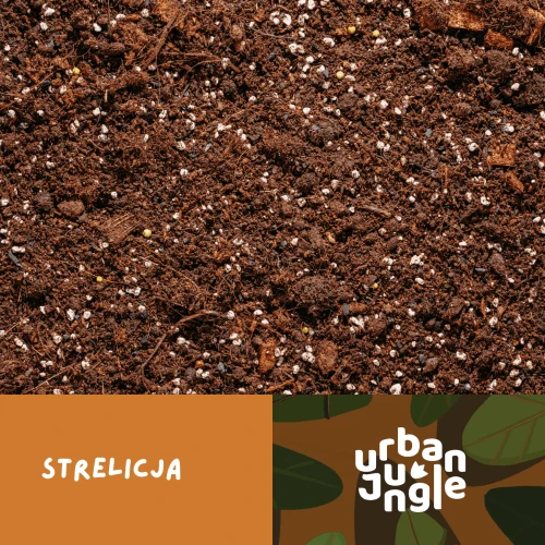 PODŁOŻE SPECJALISTYCZNE do strelicji i roślin egzotycznych Urban Jungle