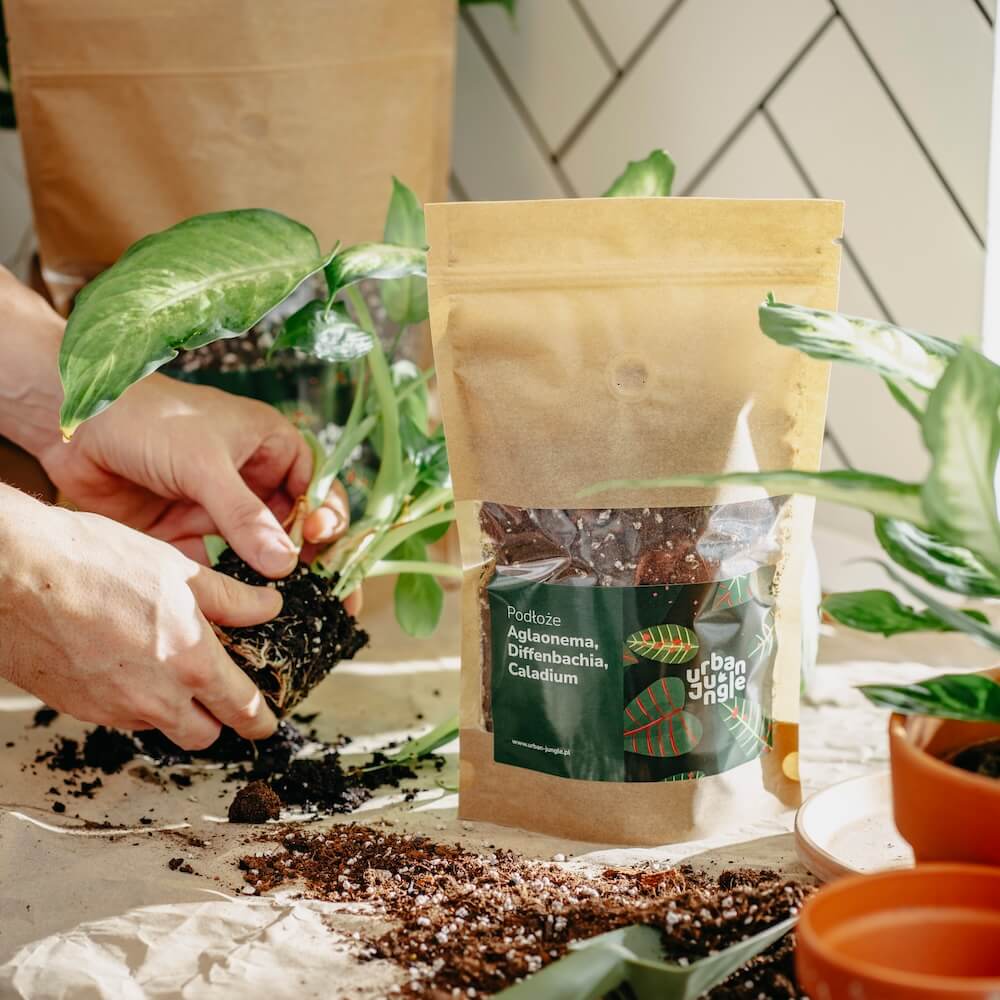 sklad-podloza-aglaonema-difenbachia-caladium.png