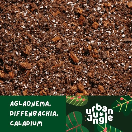 PODŁOŻE SPECJALISTYCZNE DO AGLAONEMY, DIFENBACHII I CALADIUM – LEKKA ZIEMIA DO ROŚLIN OZDOBNYCH, URBAN JUNGLE