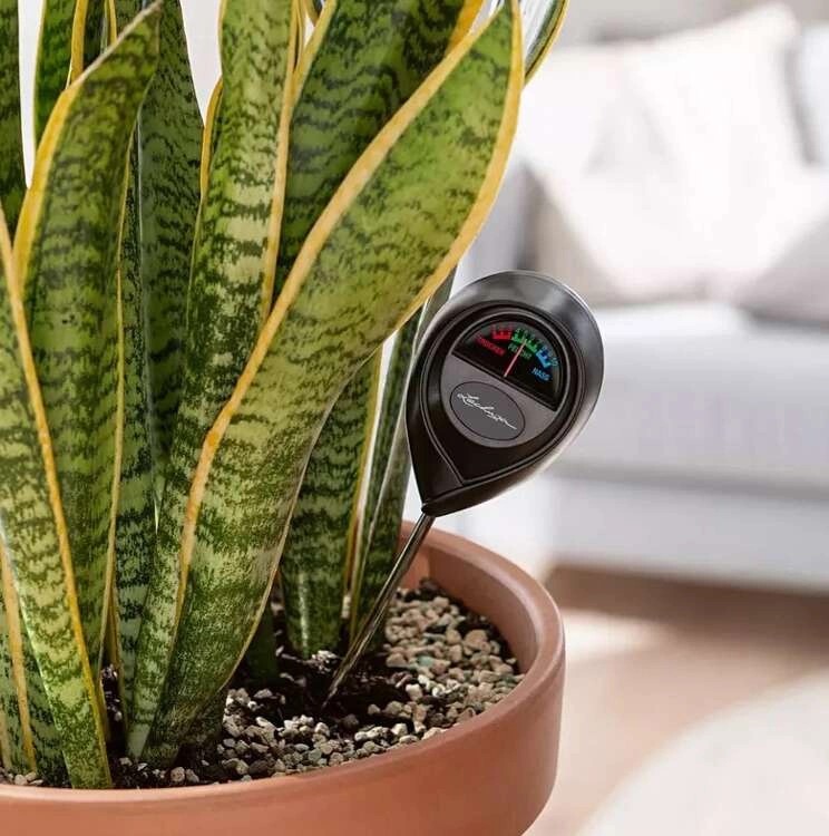 pol_pl_Lechuza-miernik-wilgotnosci-gleby-podloza-6654_2 (1).jpg