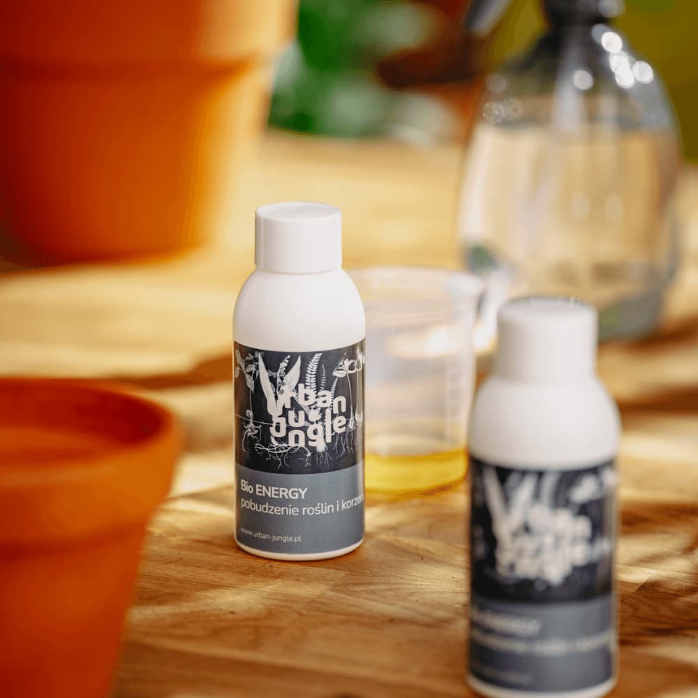 Stosowanie Bio ENERGY do roślin po przesadzaniu