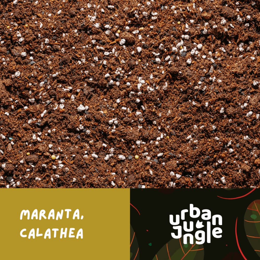 Podłoże specjalistyczne do maranty i calathei Urban Jungle, gotowa mieszanka do roślin marantowatych.