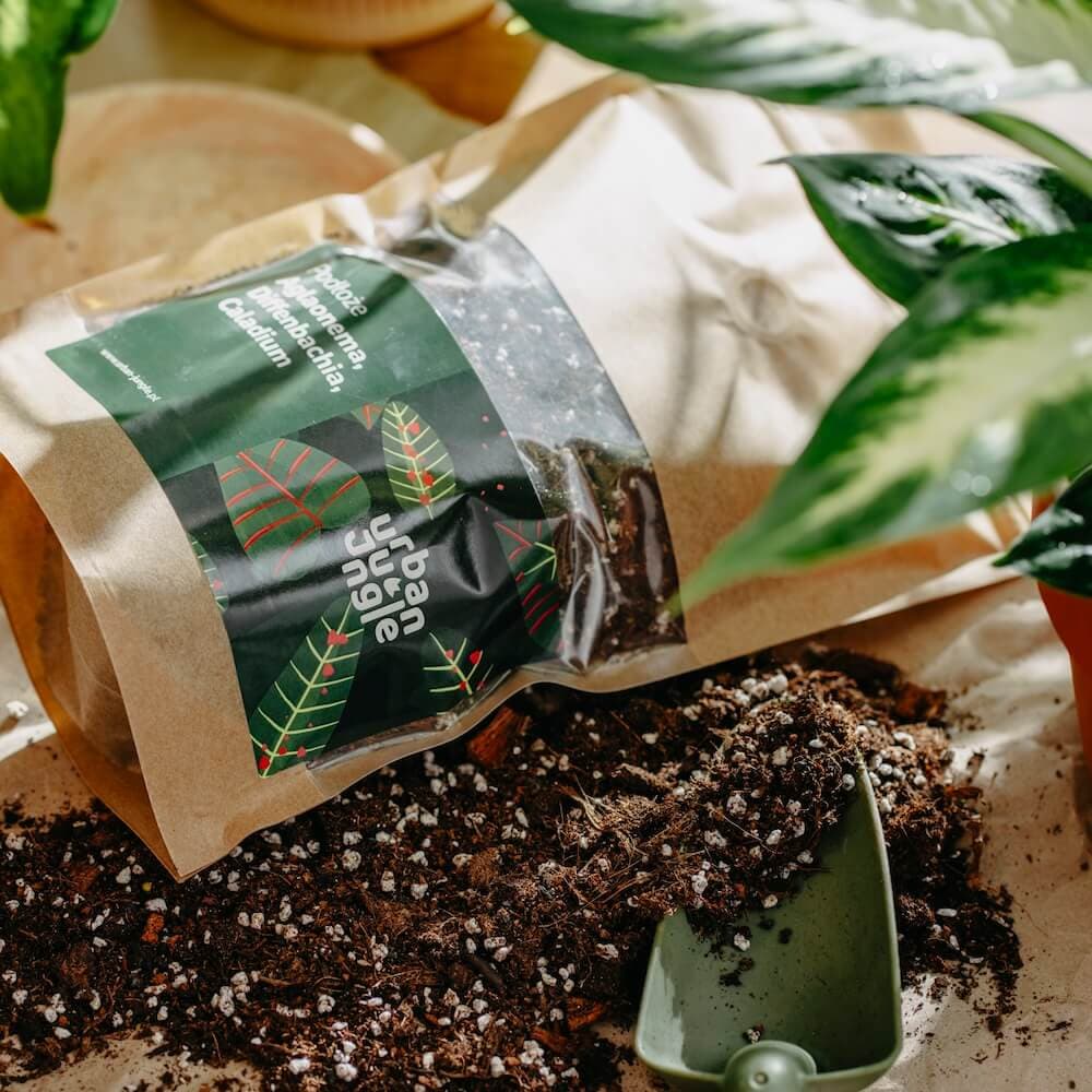 Podłoże Urban Jungle do aglaonemy, difenbachii i caladium, specjalistyczna mieszanka do roślin ozdobnych z liści.