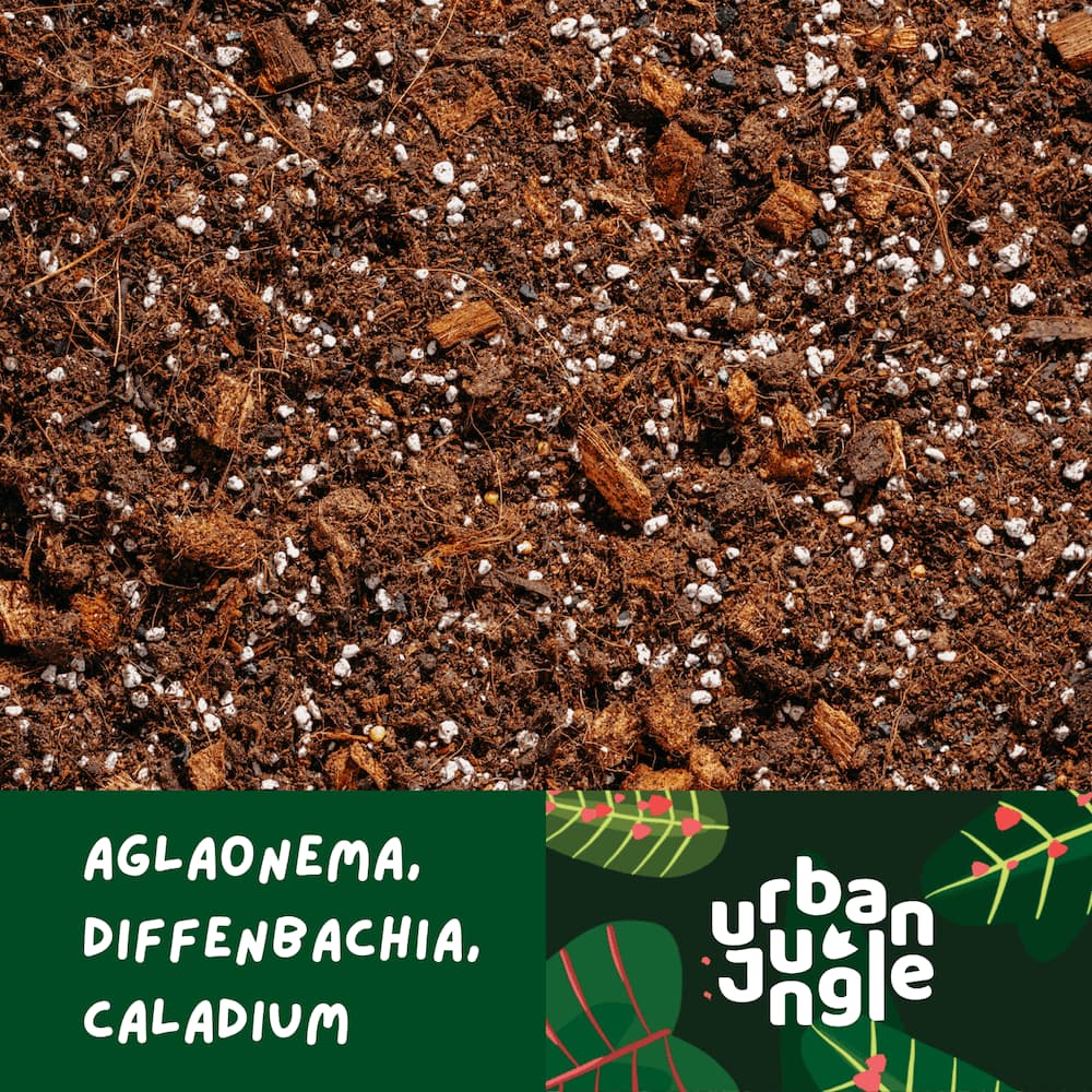 Podłoże specjalistyczne Urban Jungle do aglaonemy, difenbachii i caladium.