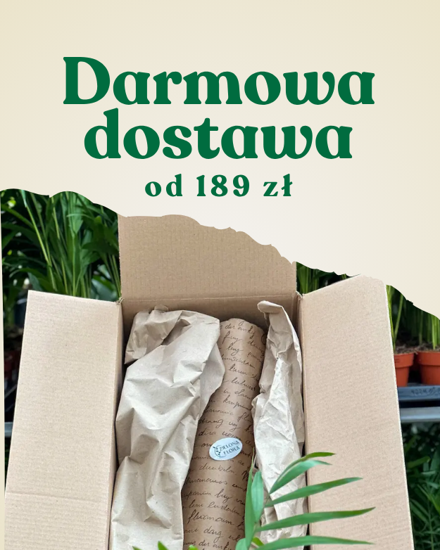[Greendea] Darmowa dostawa Zielona Flora