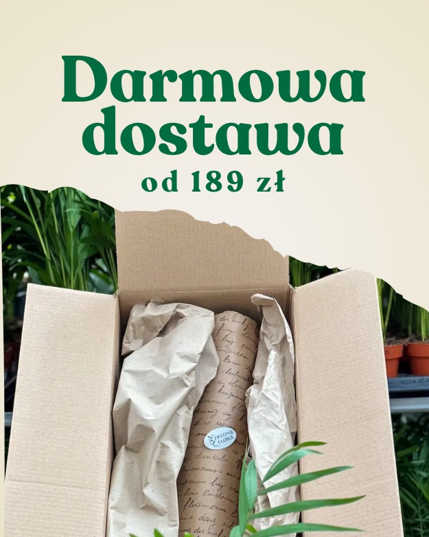 Darmowa dostawa od 189 zł Zielona Flora
