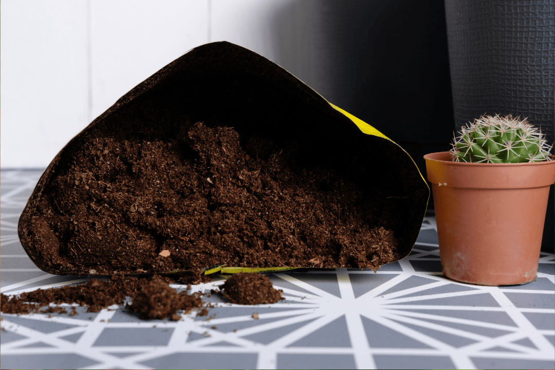 Odkryj proste kroki do idealnej mieszanki ziemi dla kaktusów i sukulentów