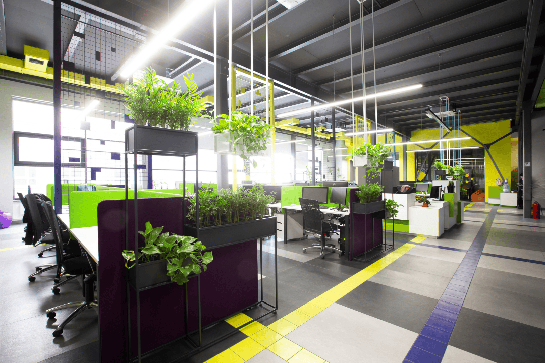 Jak urządzić zielone biuro? Zalety roślin w miejscu pracy