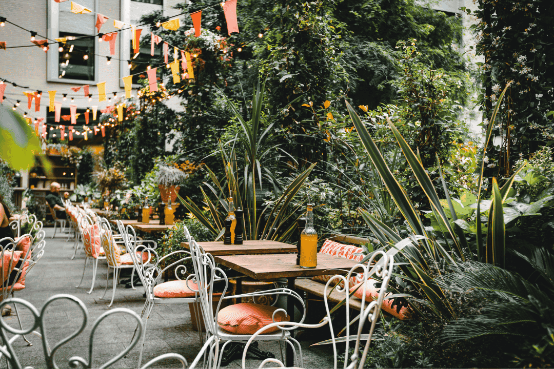 Rośliny w restauracji czyli jak stworzyć przytulną atmosferę?