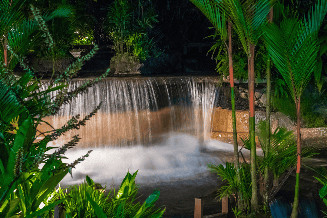 Jak rośliny poprawiają doświadczenie gości w hotelach i spa?
