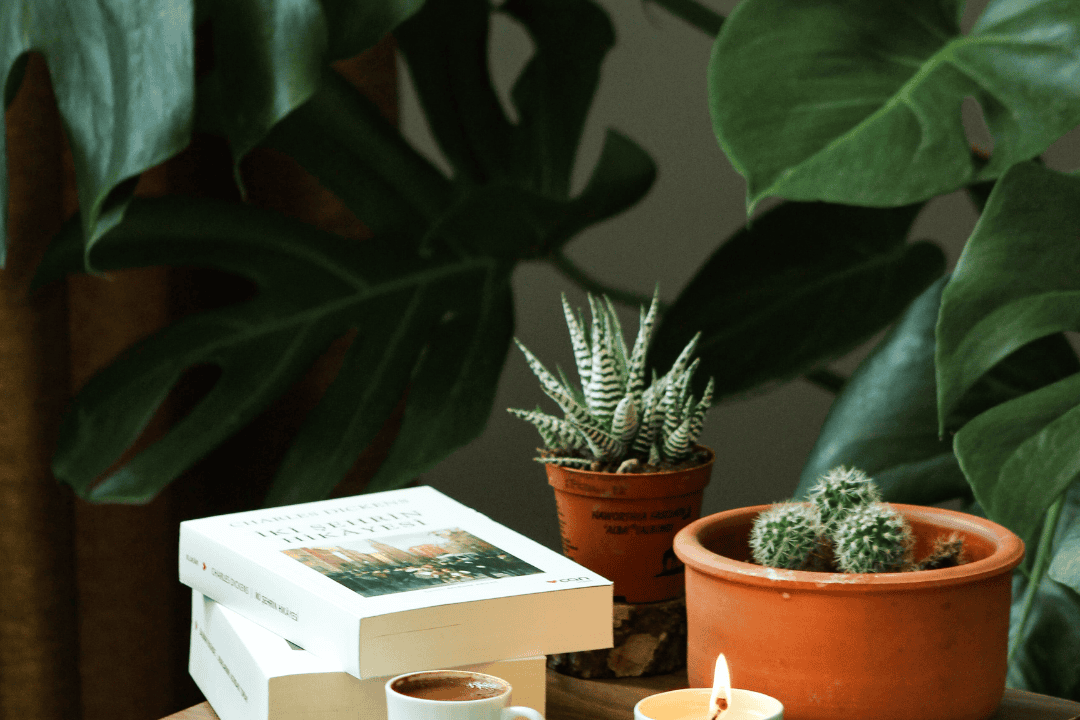 Dlaczego Twoje rośliny nie rosną? 5 mniej oczywistych przyczyn