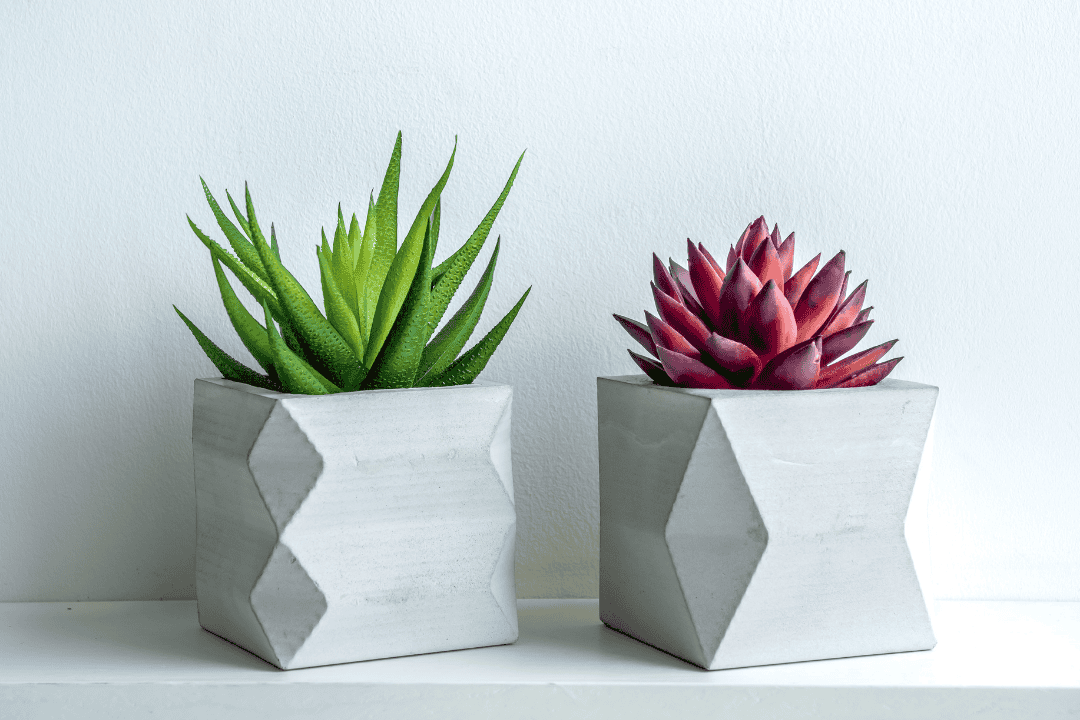 Personalizowane doniczki – jak nadać wnętrzu wyjątkowego charakteru?